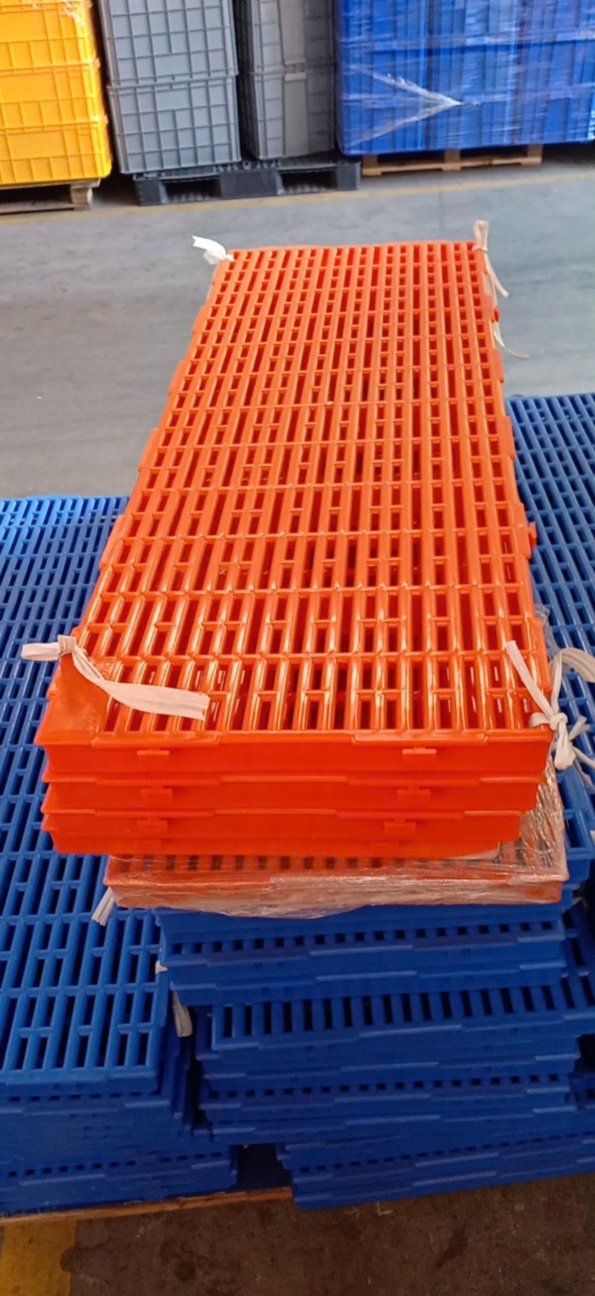 So sánh sàn nhựa chăn nuôi với sàn bê tông – sạch hơn, thông thoáng hơn